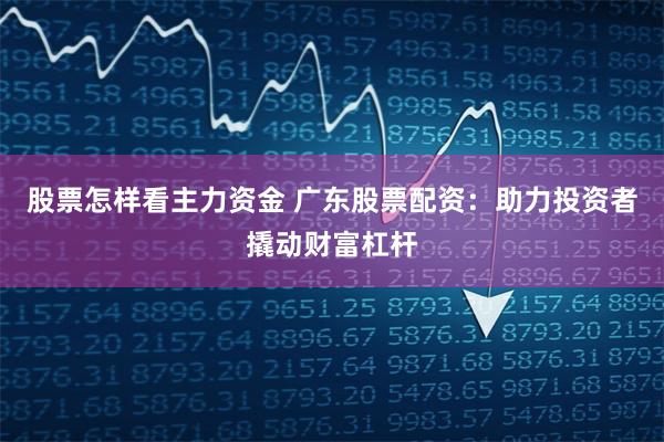 股票怎样看主力资金 广东股票配资：助力投资者撬动财富杠杆